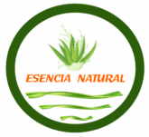 Sitio web