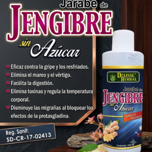 JARABE DE JENGIBRE SIN AZUCAR 250 Mililitros (sistema pulmonar)