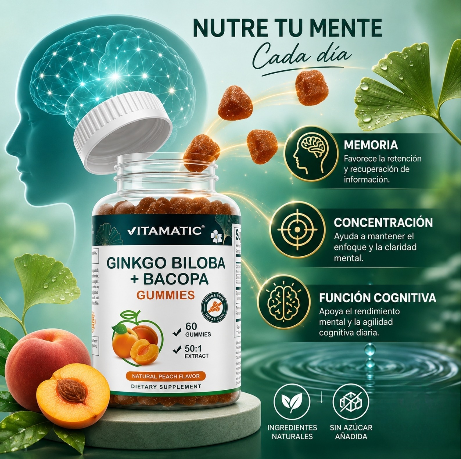 GOMITAS 60. GINKGO BILOBA + BACOPA 1000 mg (sistema cerebral)