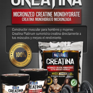 CREATINA 250 Gramos (sistema muscular)