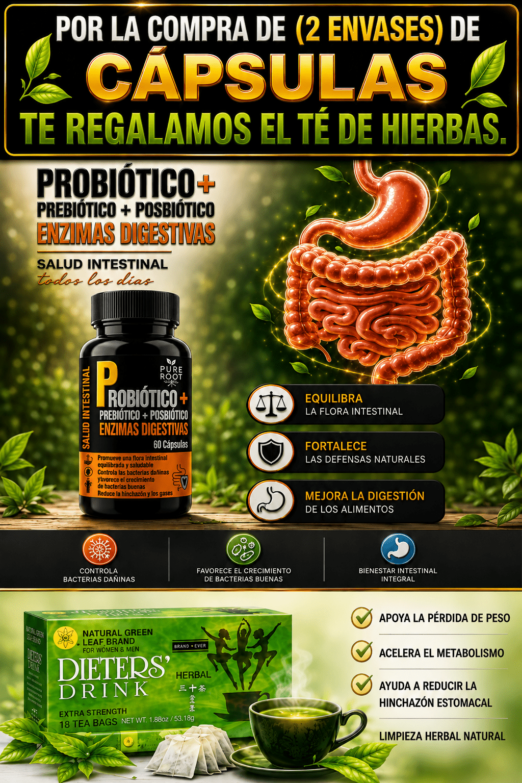PROBIOTIC + PREBIOTIC + POSBIOTIC + ENZIMAS DIGESTIVAS. 60 Cápsulas (Sistema digestivo)